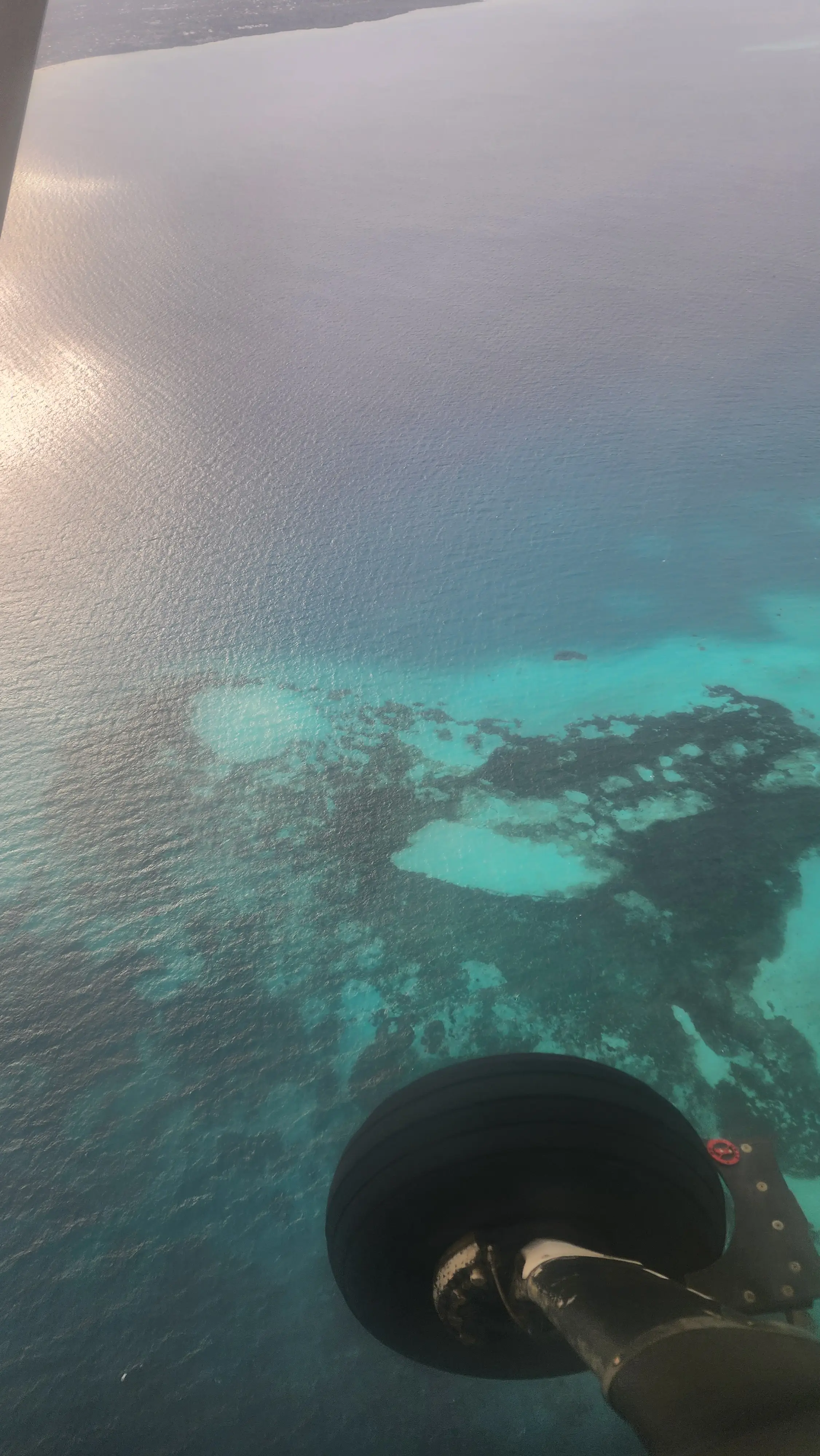 Zanzibar-South Pemba environment